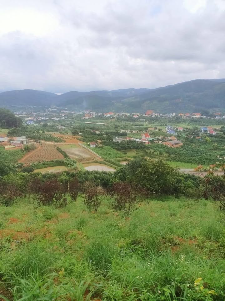 Đất nền Mê Linh 3500m² giá 1.5 tỷ - Sổ hồng chính chủ, view đẹp