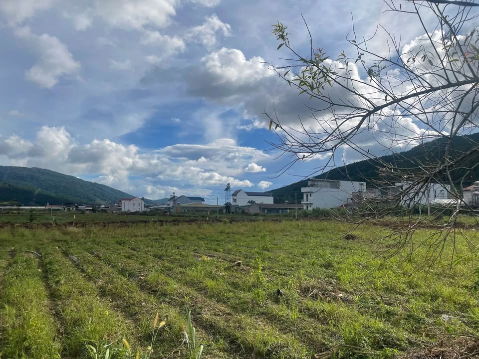 Đất nền Hiệp An, Đức Trọng 145m² giá chỉ 1.7 tỷ - Sổ hồng chính chủ!