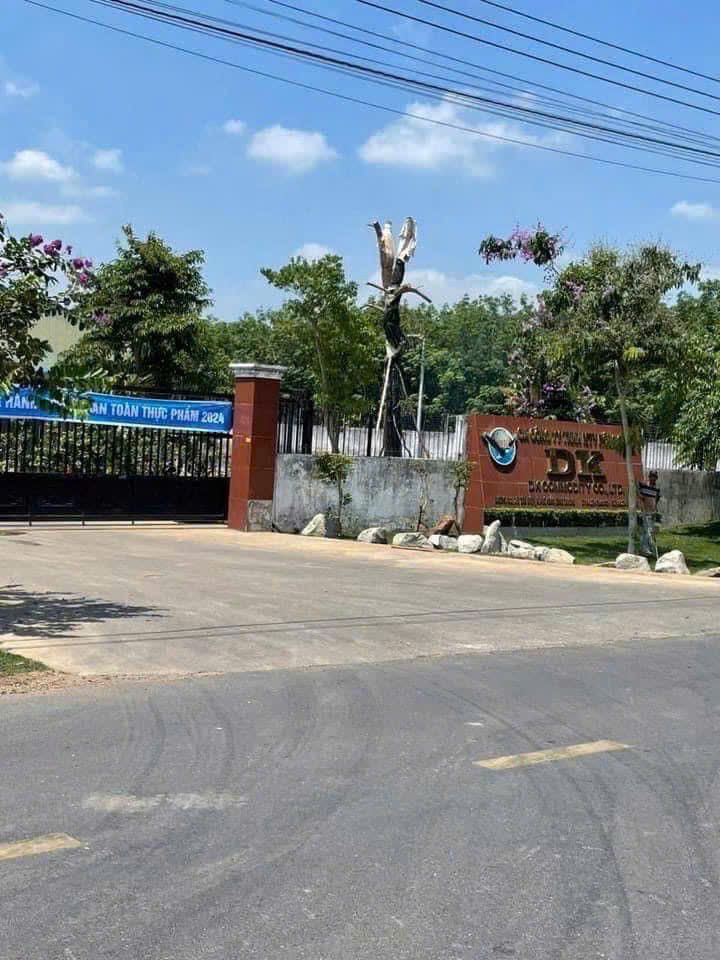 Đất thổ cư 2 mặt tiền đường DH 511, xã Tân Hiệp, Phú Giáo - Giá 1.2 tỷ, đầu tư sinh lời!