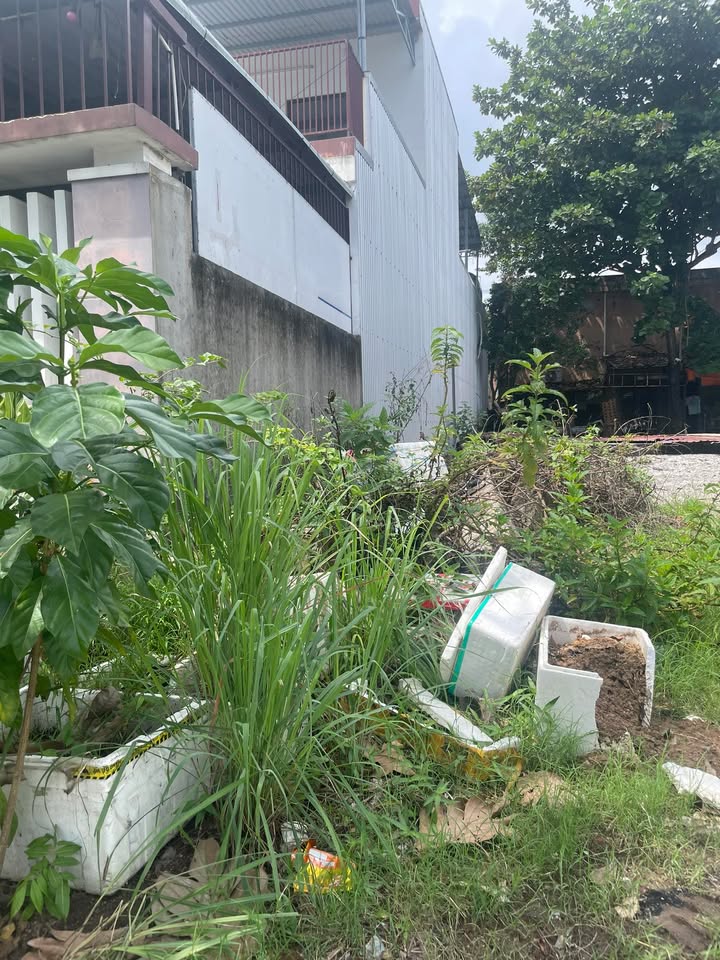 Đất nền Cẩm Lệ Đà Nẵng 61m² giá chỉ 2.8 tỷ - Cơ hội đầu tư tuyệt vời!