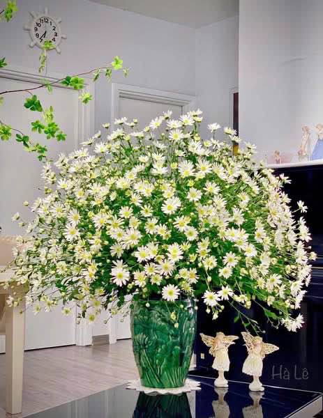 Đất thổ cư 200m² Đồng Tâm, Vĩnh Yên giá 2.8 tỷ - Sổ hồng chính chủ!