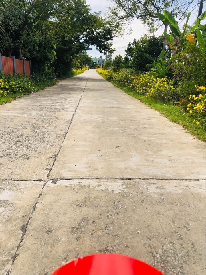 Đất nền mặt tiền đường DH8 Tam Kỳ 150m² giá chỉ 800 triệu - Đầu tư sinh lời ngay!