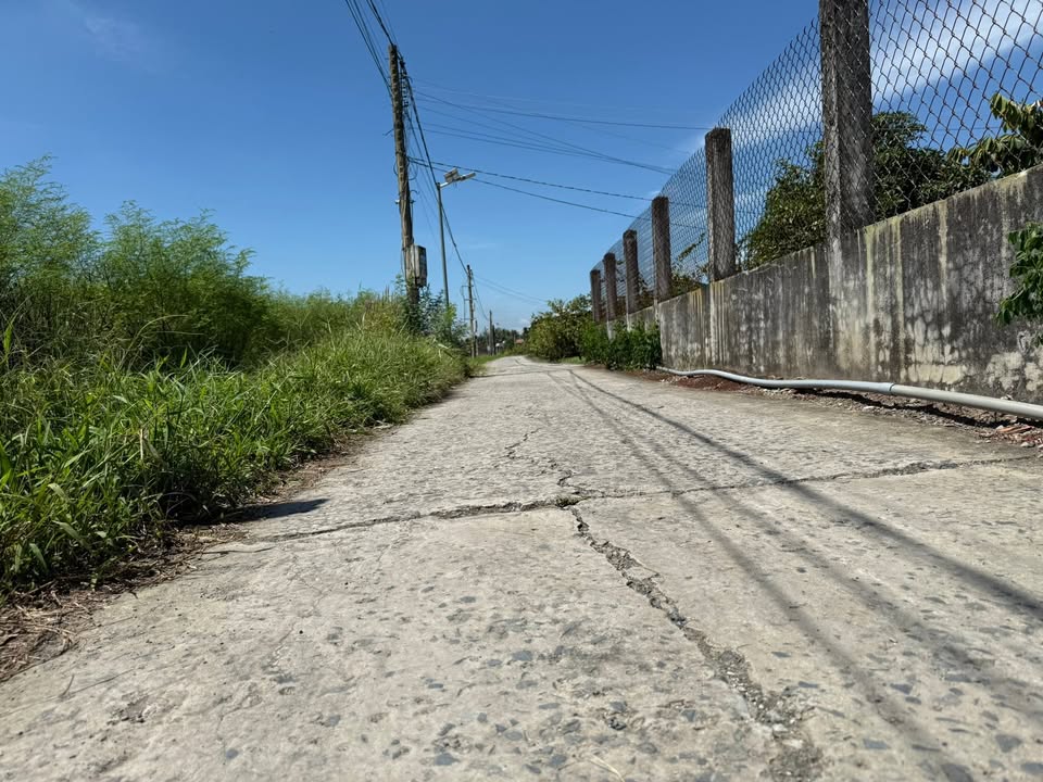 Đất nền Tân Bình, Tân Trụ 135m² chỉ 300 triệu - Giá tốt nhất khu vực!