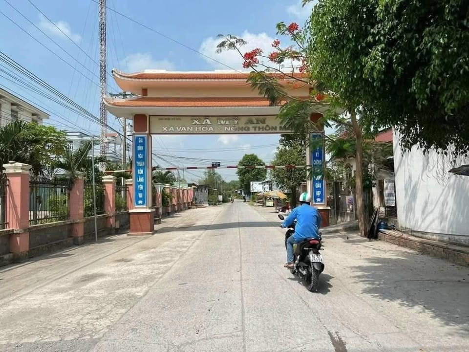 Đất nền 1675m² xã Mỹ An, Thủ Thừa - Phân lô đầu tư sinh lời!