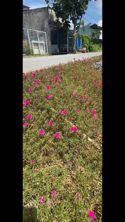 Nhà phố Long Khê, Cần Đước 172m² giá 4.3 tỷ - Thiết kế hiện đại 4 phòng ngủ