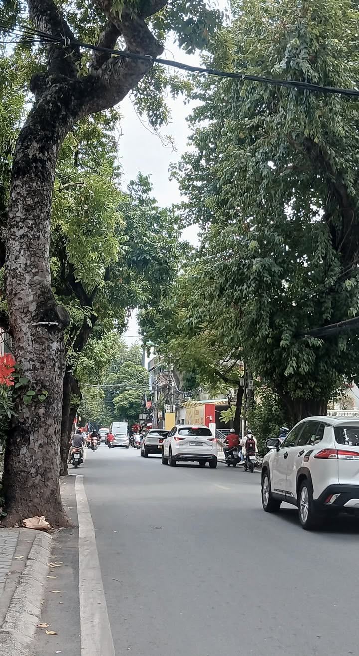 Nhà phố Hoàng Hoa Thám, Ba Đình 50m² giá 9 tỷ - Không gian sống lý tưởng!