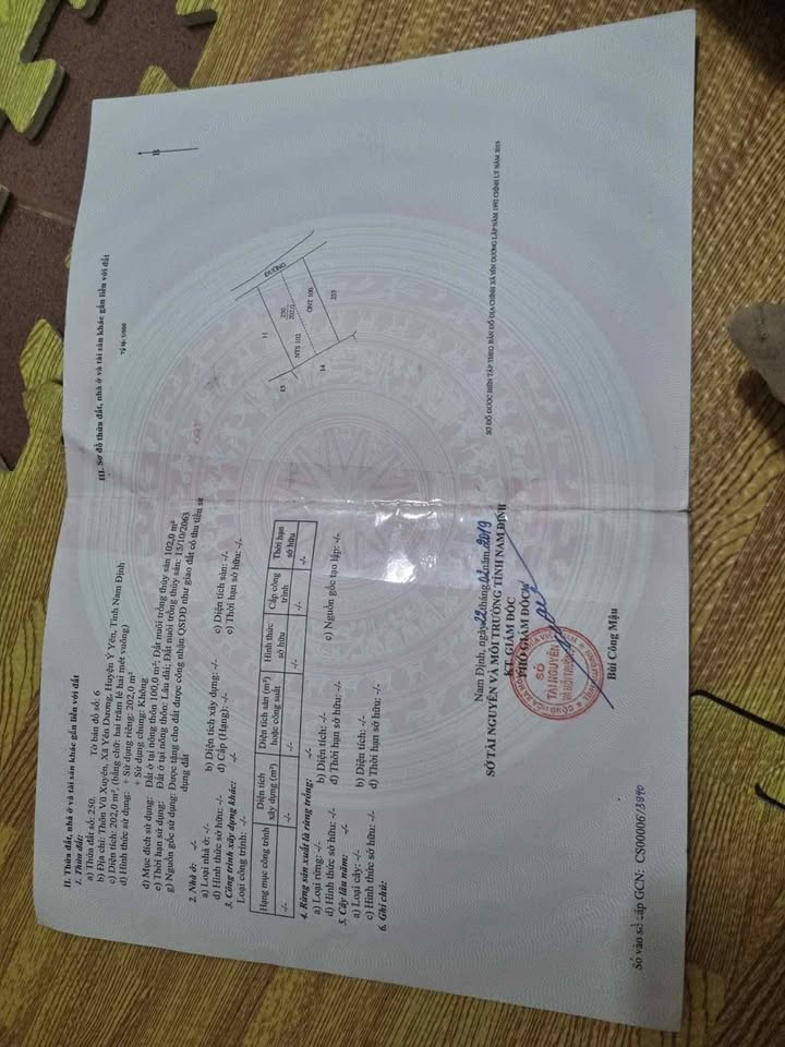 Đất nền Yên Dương Ý Yên 202m² giá thỏa thuận - Đầu tư sinh lời ngay!