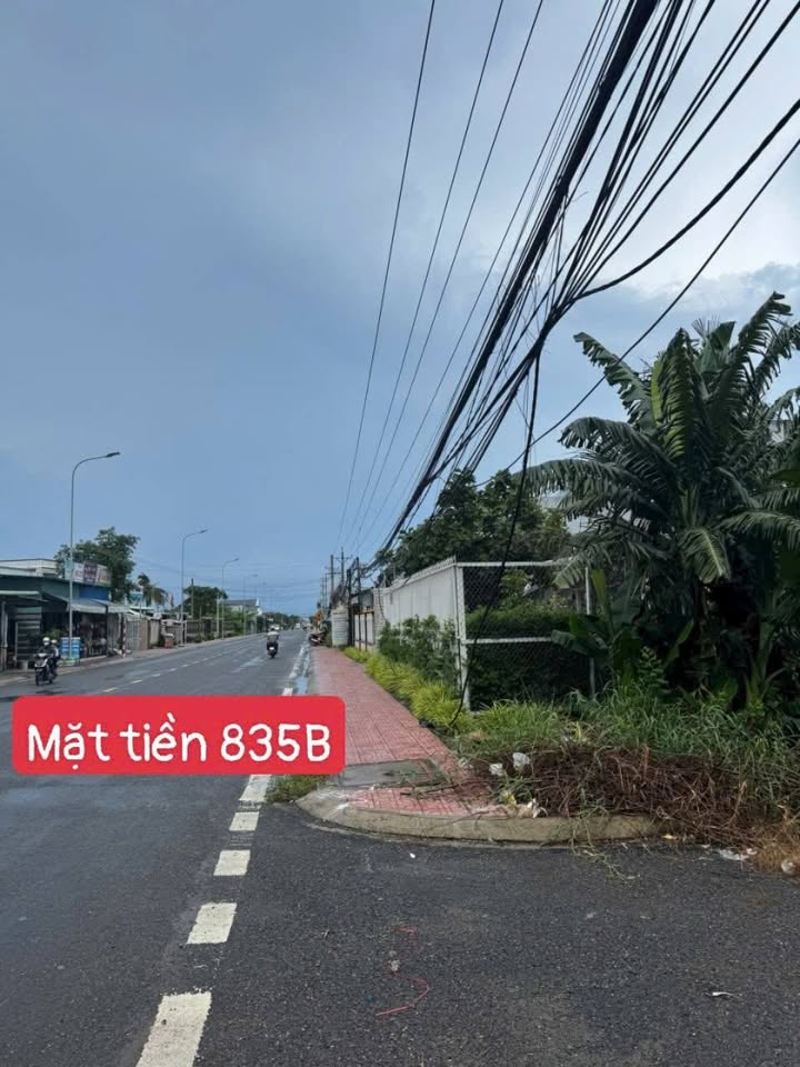 Nhà vườn mặt tiền ĐT 835B, Phước Lý 768m² giá 12.3 tỷ - Đầu tư sinh lời ngay!