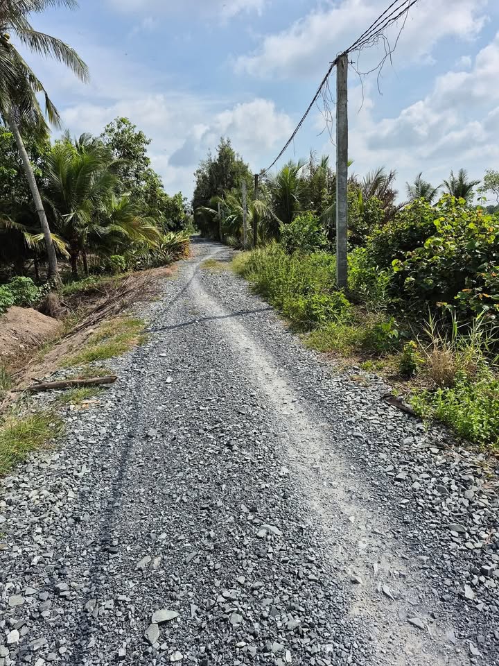 Đất nền ấp 3, xã Thủ Thừa 2300m² giá 2.3 tỷ - Đầu tư sinh lời ngay!