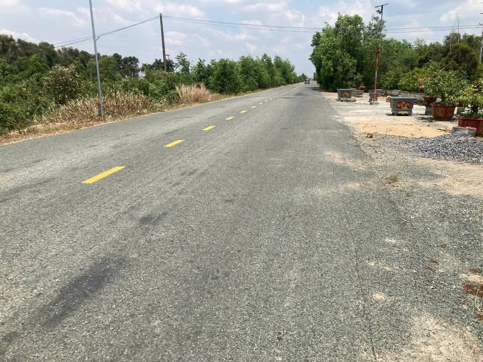 Đất Thổ Cư Mặt Tiền Tỉnh Lộ 818, Thủ Thừa, Long An - Đầu Tư Lợi Nhuận Cao!