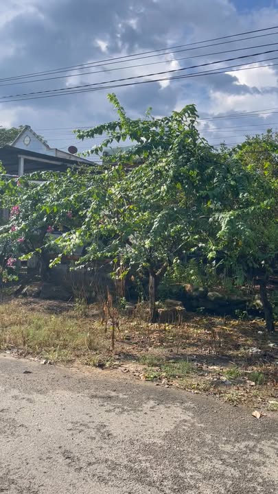 Đất nền chính chủ tại Hắc Dịch, Phú Mỹ 200m² - Cơ hội đầu tư tuyệt vời!