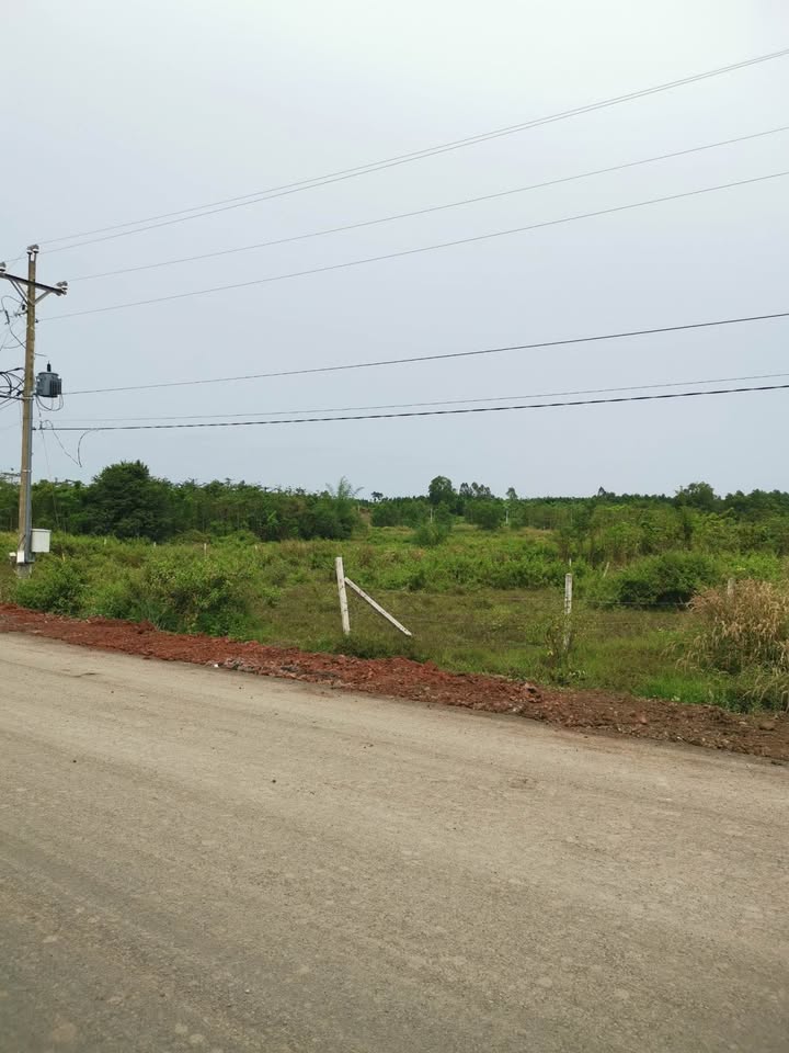 Đất mặt tiền 50m xã Bình Trung, huyện Châu Đức 1500m² - Giá mềm, thương lượng nhanh!