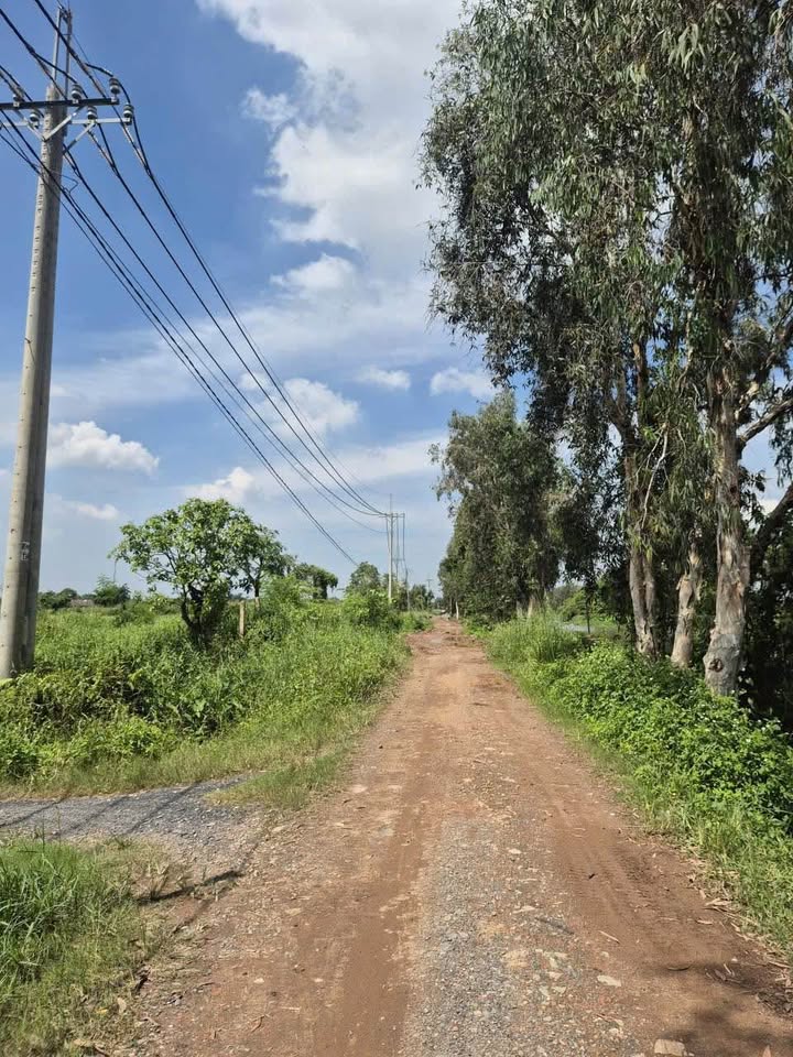 Đất nền Đông Thạnh Hóc Môn 1000m² giá chỉ 2 tỷ - Đầu tư sinh lời ngay!