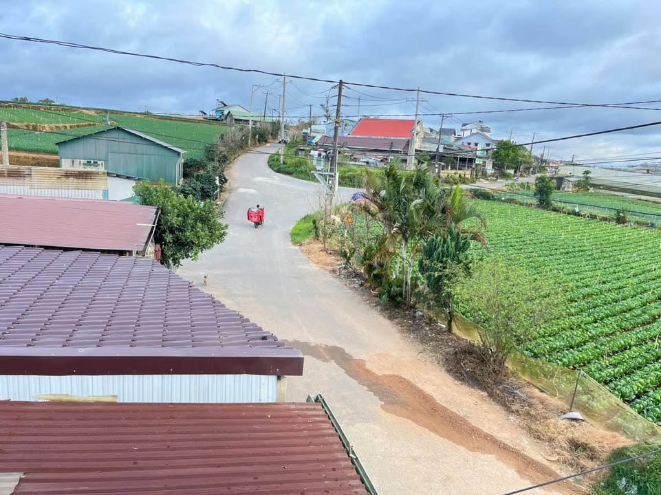 Nhà mặt tiền Nguyễn Hoàng Đà Lạt 100m² giá 2.35 tỷ - Vị trí đắc địa, thương lượng chính chủ!