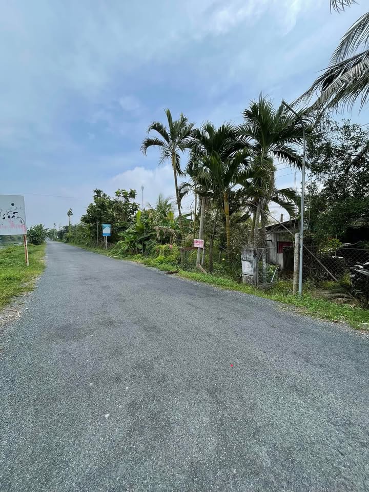 Đất vườn 3456m² tại Vĩnh Hòa Hưng Bắc, Gò Quao - Tiềm năng kinh doanh lớn!