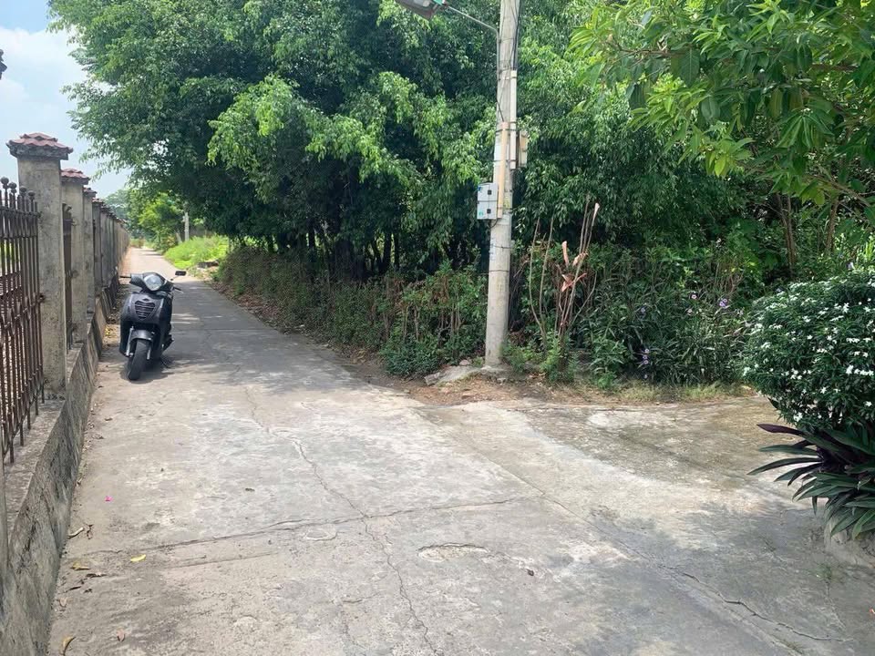 Đất nền Tổ 2 Trung Sơn, 70m² giá thỏa thuận - Cơ hội đầu tư hấp dẫn!