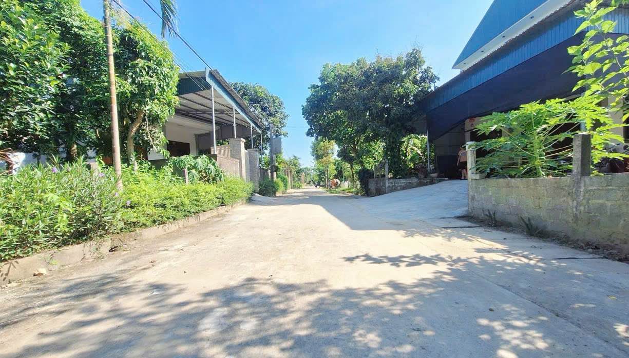 Đất nền Tân Lâm Hương, Thạch Hà 199m² giá 1.1 tỷ - Tiềm năng đầu tư hấp dẫn!