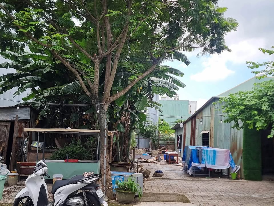 Đất mặt tiền đường Thanh Nghị, Liên Chiểu, Đà Nẵng, 189m² giá 11 tỷ - Vị trí kinh doanh đắc địa!