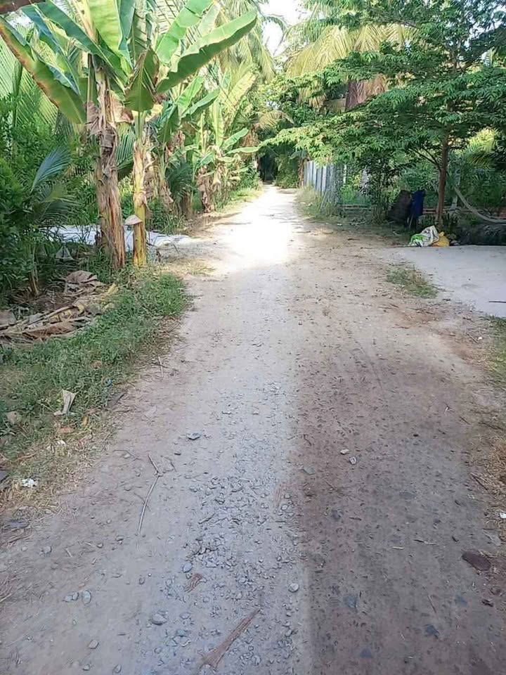 Đất nền 1000m² tại Lương Hòa, Bến Tre giá 700 triệu - Đường xe du lịch thông thoáng!