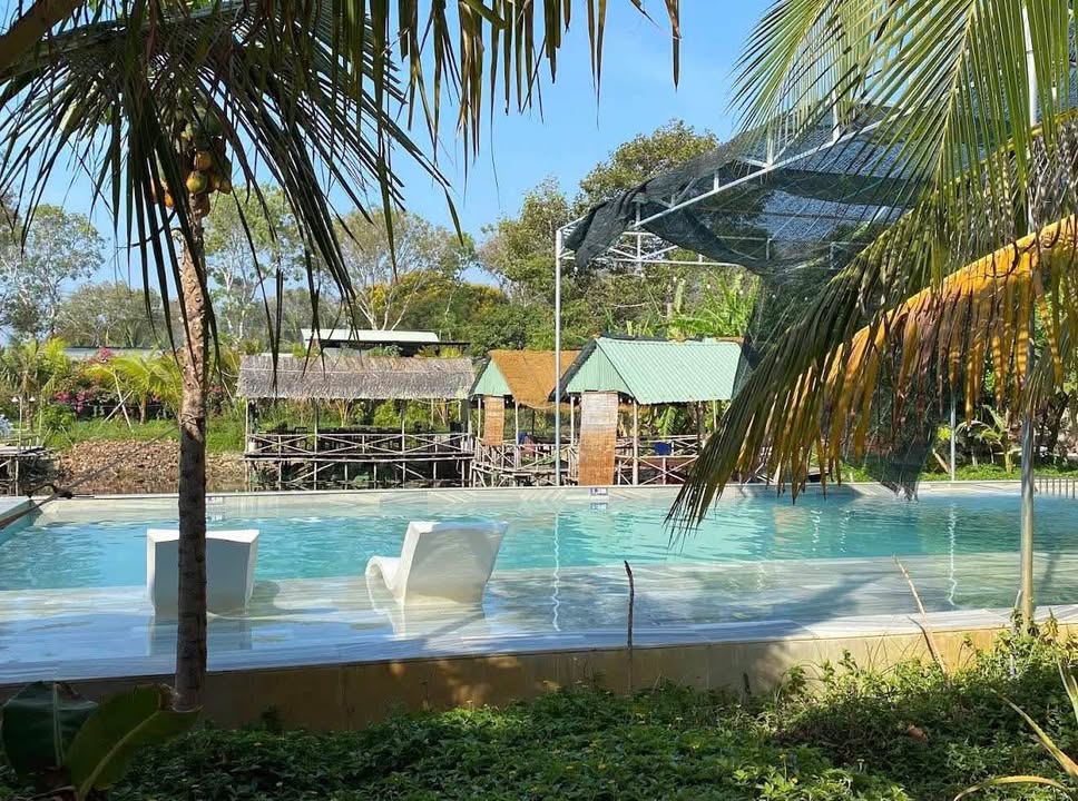 Cho thuê homestay Long Cung Vũng Tàu 7000m² chỉ 50 triệu - Không gian nghỉ dưỡng lý tưởng!