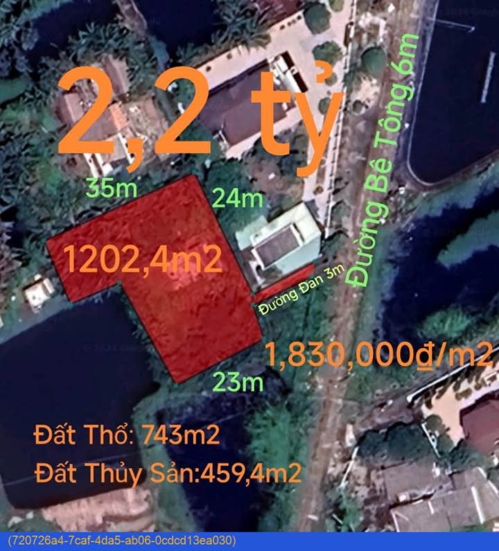 Đất thổ cư 1202m² khu vực Thuận Lợi, Tân Trụ chỉ 2,2 tỷ - Đầu tư sinh lời!