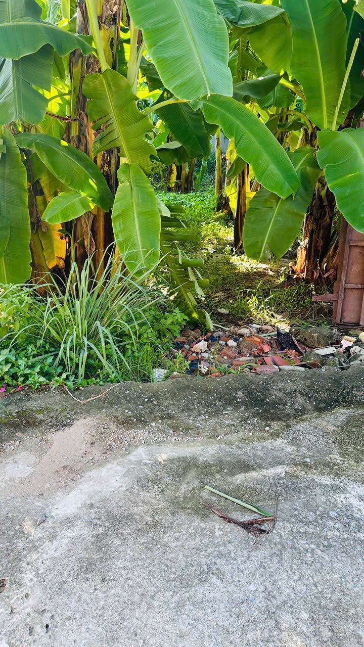 Đất thổ cư Xuân Phú, Yên Dũng 94m² giá 700 triệu - Đường thông thoáng, ô tô vào tận nơi!