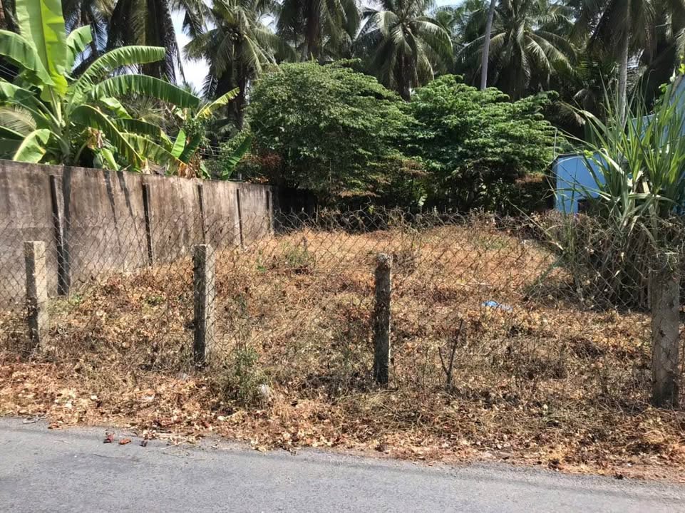 Đất thổ cư chính chủ 194m² tại Bình Thạnh, Chợ Gạo chỉ 700 triệu - Cơ hội đầu tư tuyệt vời!