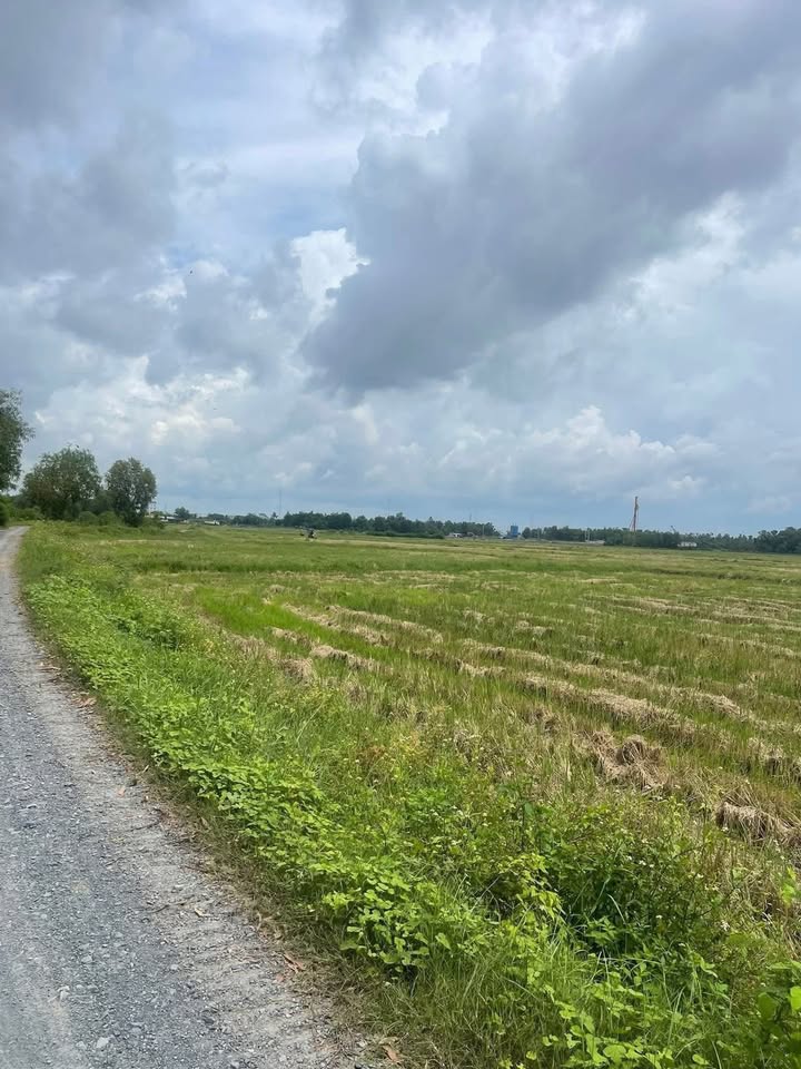 Đất nông nghiệp Tân Thới Nhì Hóc Môn 9116m² giá 27.348 tỷ - Sổ đỏ chính chủ!