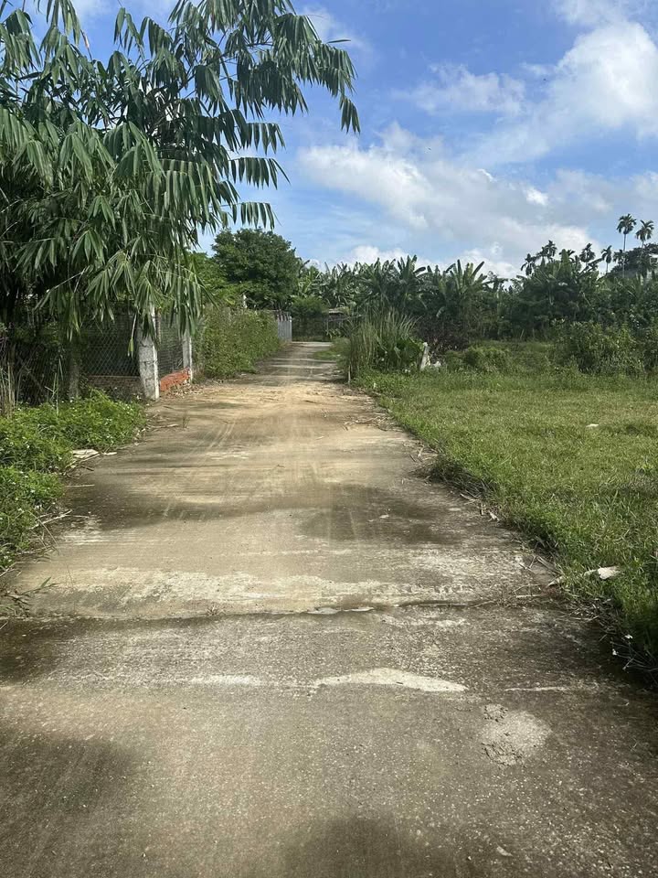 Đất nền xã Nam Phước, huyện Duy Xuyên 173.4m² giá 600 triệu - Vị trí đẹp gần chợ và trường học!