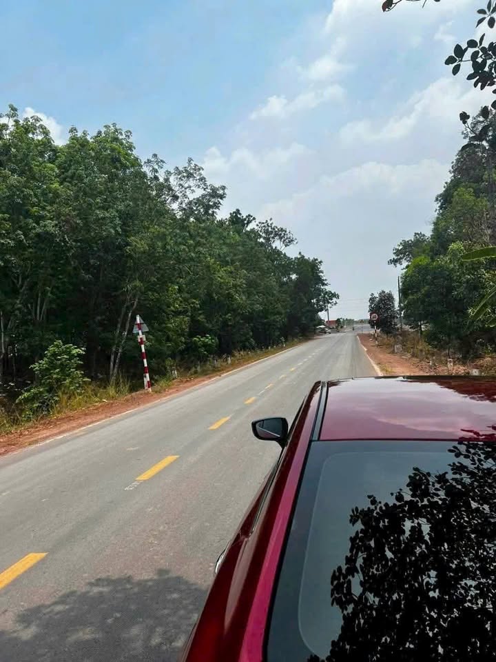 Đất nền 3.7ha mặt tiền đường DH614 - Bàu Bàng giá 88 tỷ - Tiềm năng đầu tư lớn!