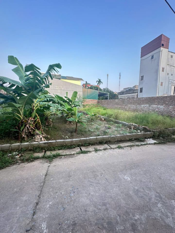 Đất nền Tự Nhiên, Thường Tín 80m² giá 3.36 tỷ - Đường ô tô vào tận nơi!