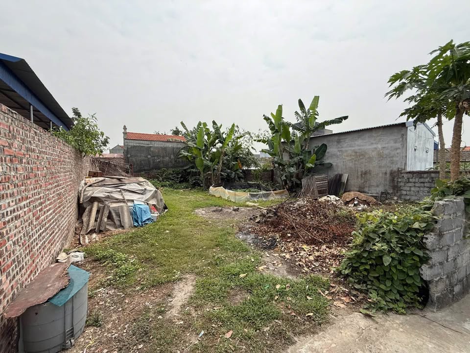 Đất nền Thái Sơn, An Lão 186m² giá chỉ 2 tỷ - Đầu tư sinh lời ngay!