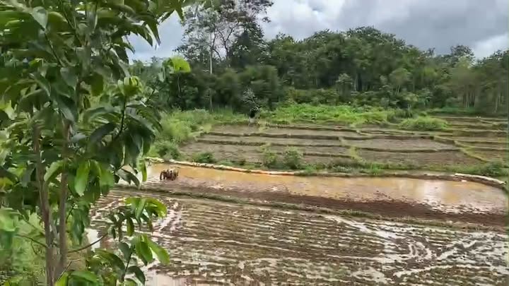 Đất nền xã Ea Knuec, huyện Krông Pắc 632m² giá 1.1 tỷ - Sổ đỏ chính chủ!