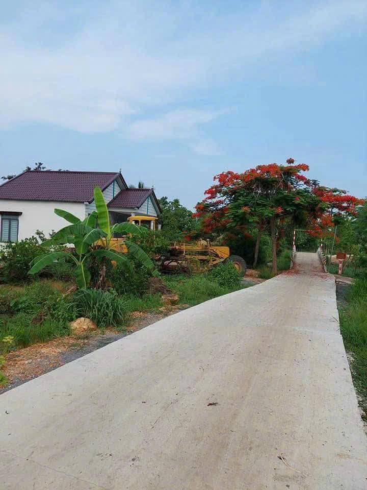 Đất nền thổ cư xã Phú Tân 1530m² giá 750 triệu - Sổ hồng riêng, pháp lý rõ ràng!