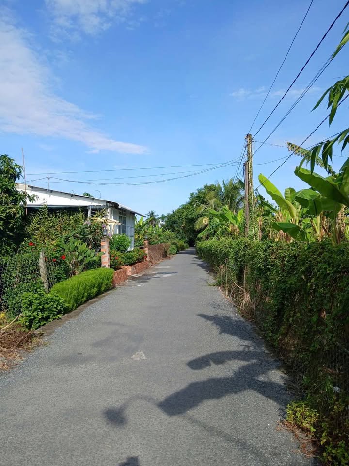 Đất nền xã Lai Vung, 700m² chỉ 1.05 tỷ - Sổ đỏ chính chủ!