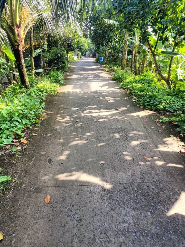 Đất nền mặt tiền đường Đal 5000m², giá chỉ 2.2 tỷ - Đầu tư sinh lời ngay!