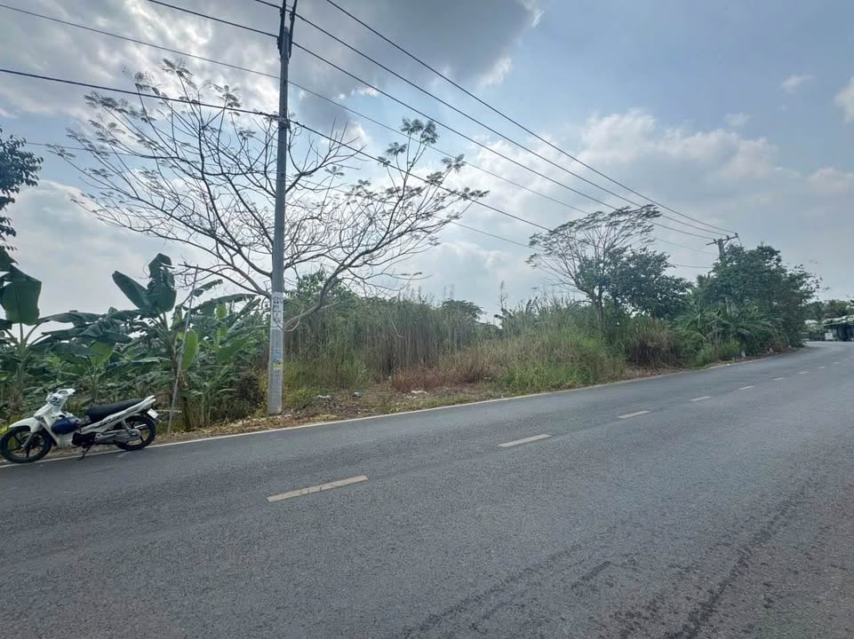 Đất mặt tiền Nguyễn Văn Quy 1300m² giá 7.6 tỷ - Cơ hội đầu tư hấp dẫn!