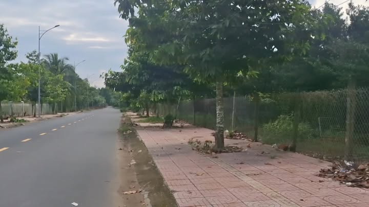 Đất nền Nhị Mỹ, Cai Lậy 1,259m² giá 3,5 tỷ - Đầu tư sinh lời tốt!