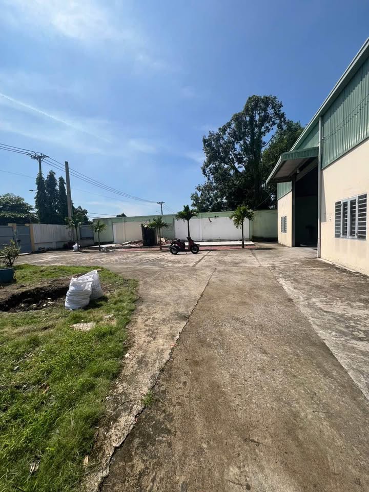 Cho thuê kho xưởng 2300m² tại Xuân Thới Sơn Hóc Môn - Giá chỉ 50 triệu/tháng