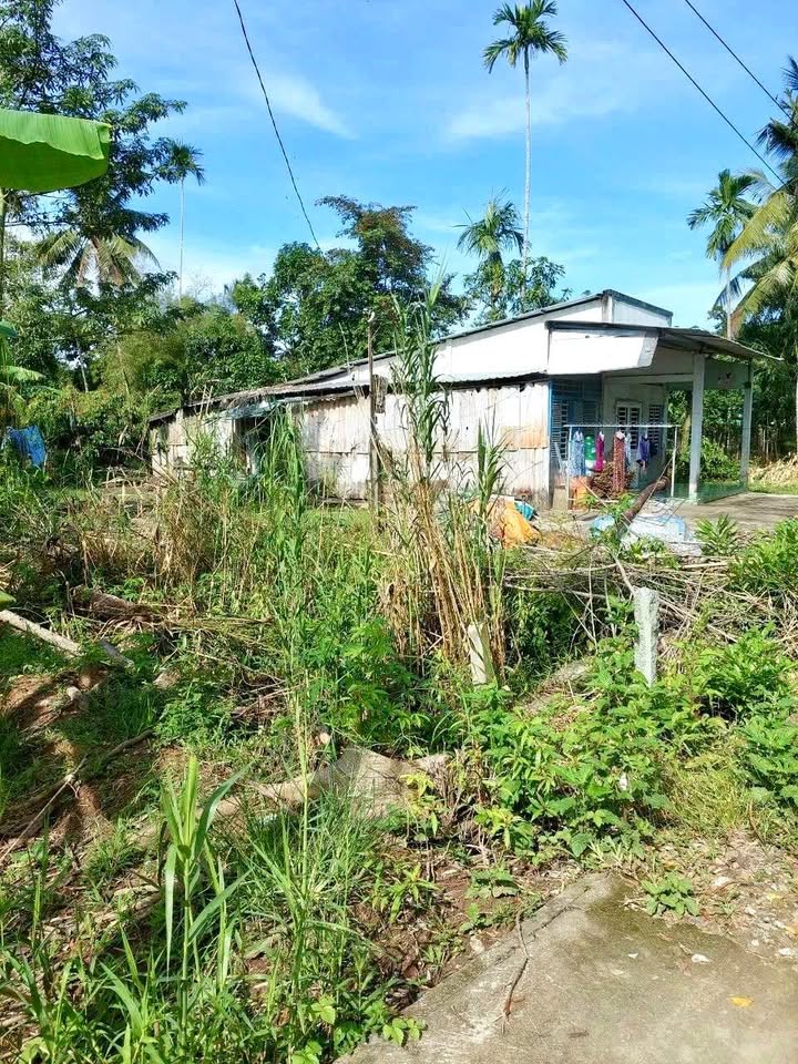 Đất nền biệt thự Thới An Đông 263m² giá 1.5 tỷ - Mặt tiền sông thoáng mát!