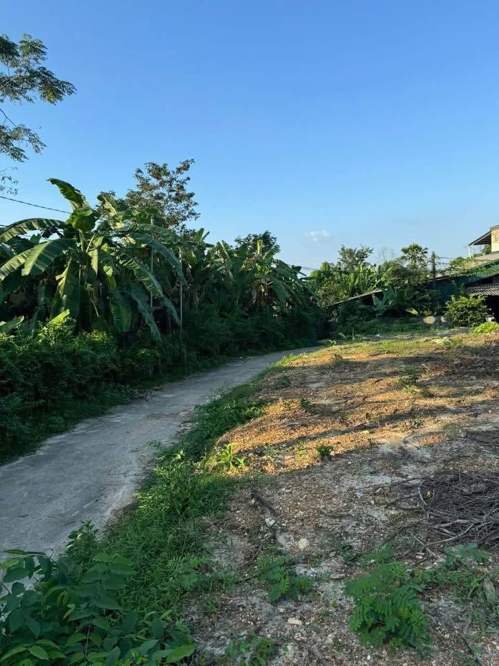 Đất nền chính chủ Kim Phú 3, Tuyên Quang 125m² giá 1.2 tỷ - Đường ô tô vào tận nơi!