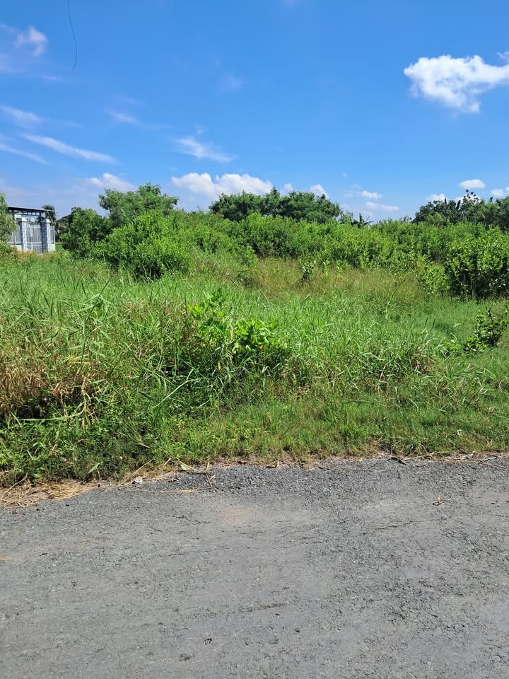 Đất mặt tiền 2 Cây Lim, Long Hưng, Gò Công 182m² giá 850 triệu - Đầu tư sinh lời ngay!