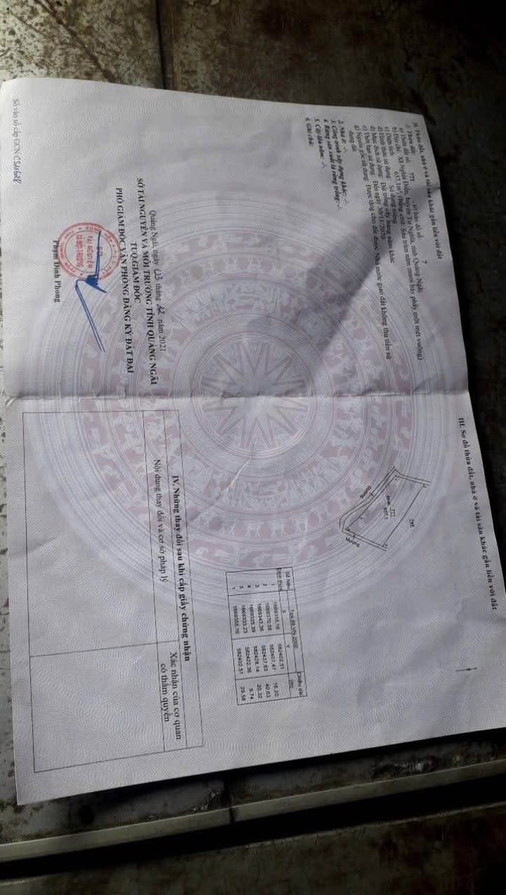 Đất Nghĩa Điền 1500m² giá 500 triệu - Sổ hồng chính chủ, giao thông thuận lợi!