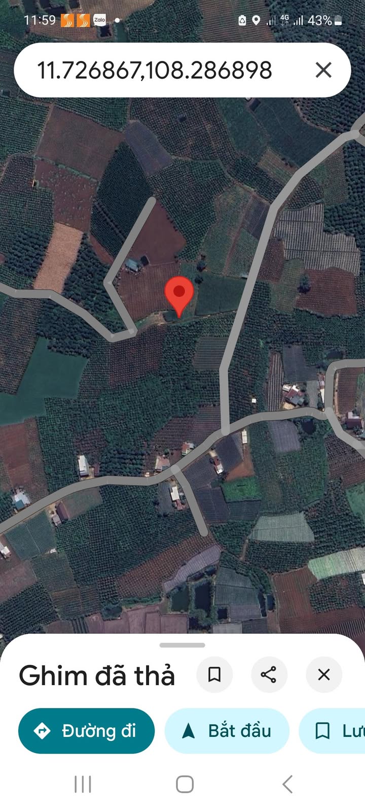 Đất vườn 1000m² xã Tân Hội, Đức Trọng giá chỉ 650 triệu - Đầu tư sinh lời cao!