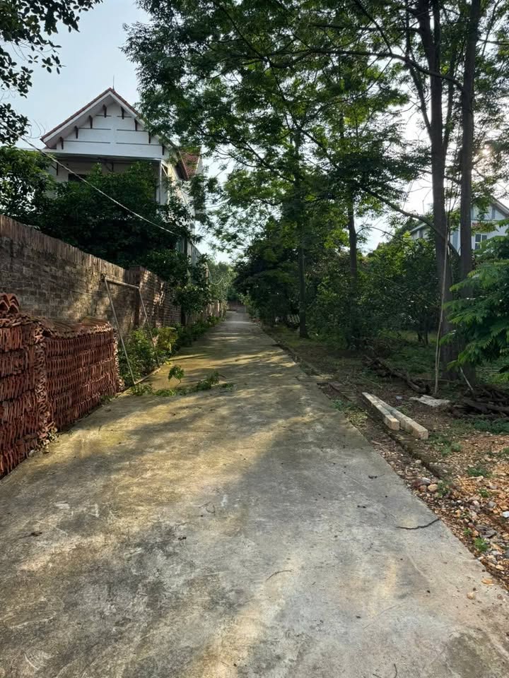 Đất thổ cư Minh Trí, Sóc Sơn 112m² giá 100 triệu - Đầu tư sinh lời ngay!