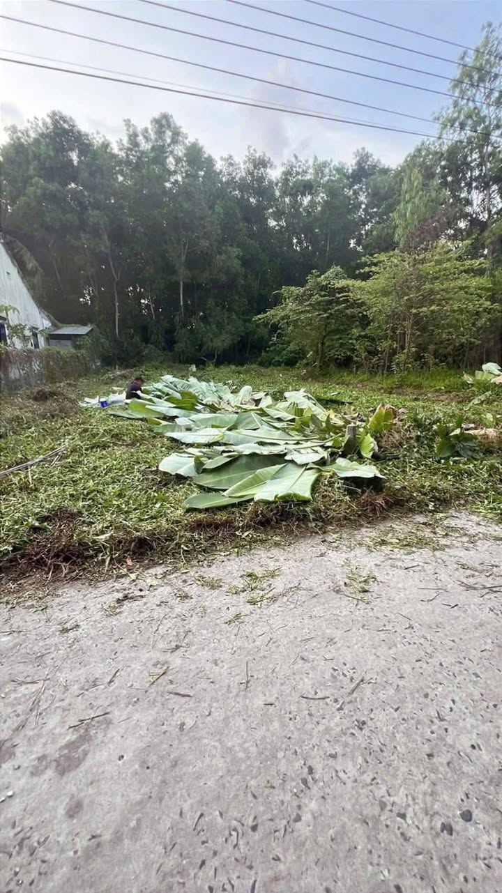 Đất nền thổ cư Trà Lồng 150m² giá 290 triệu - Đầu tư sinh lời ngay!