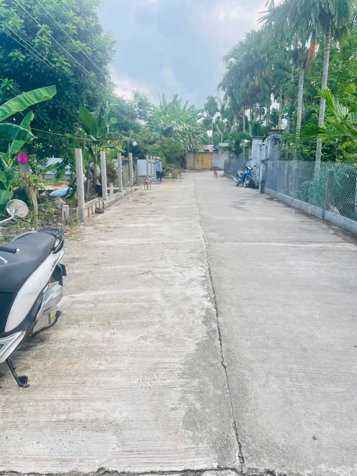 Đất Hành Trung Nghĩa Hành 150m² giá chỉ 500 triệu - Cơ hội đầu tư tuyệt vời!