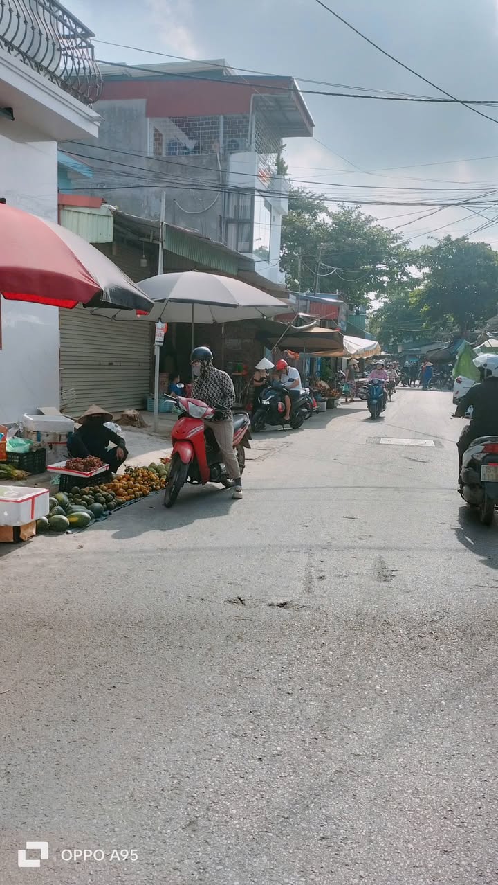 Đất nền Phường Phù Liễn 90m² giá 1.6 tỷ - Đầu tư sinh lời ngay!