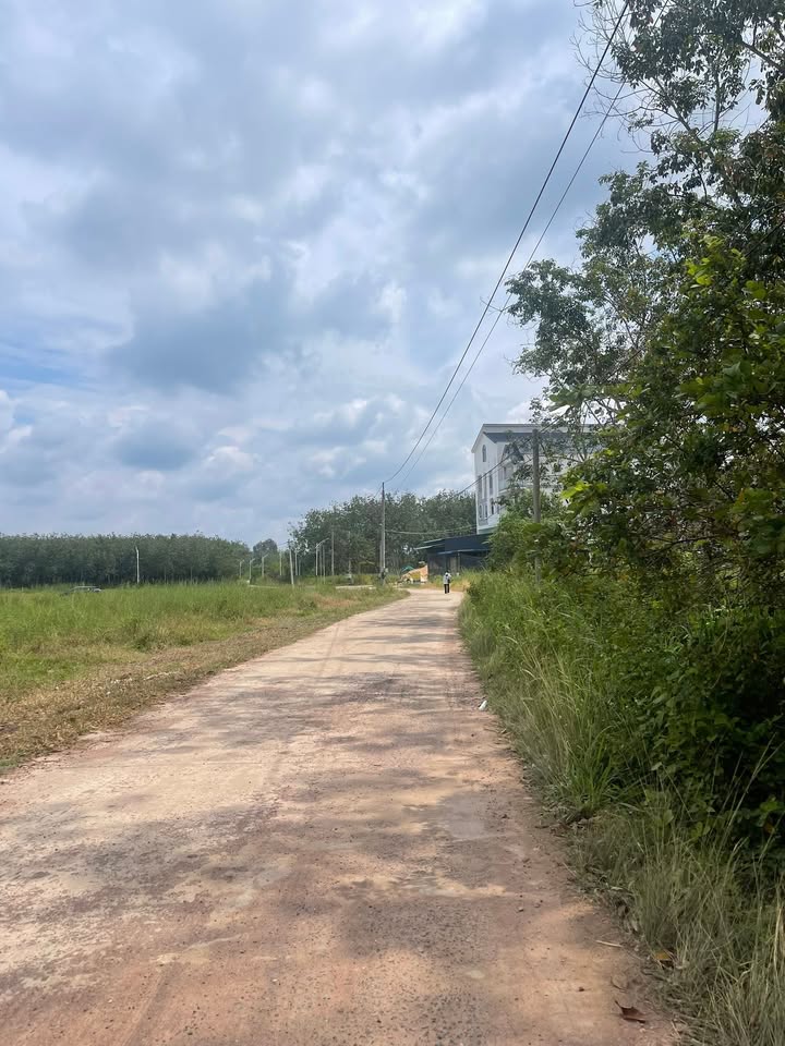 Đất nền Trục chính đường 25, Minh Hưng, Chơn Thành 250m² - Giá chỉ 400 triệu!