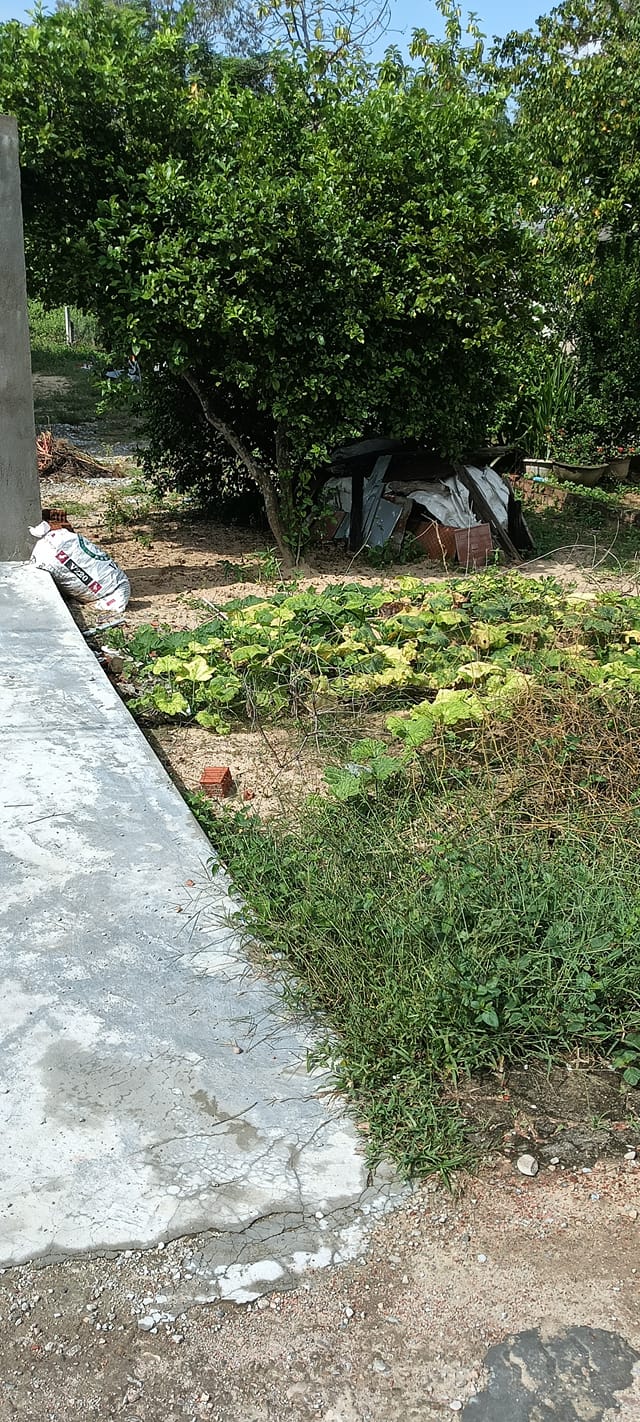 Lô đất 215m² tại Điện Nam Đông giá chỉ 900 triệu - Cơ hội đầu tư hấp dẫn!